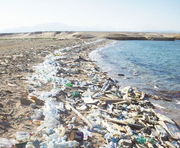 recycling plastic bottles to oil